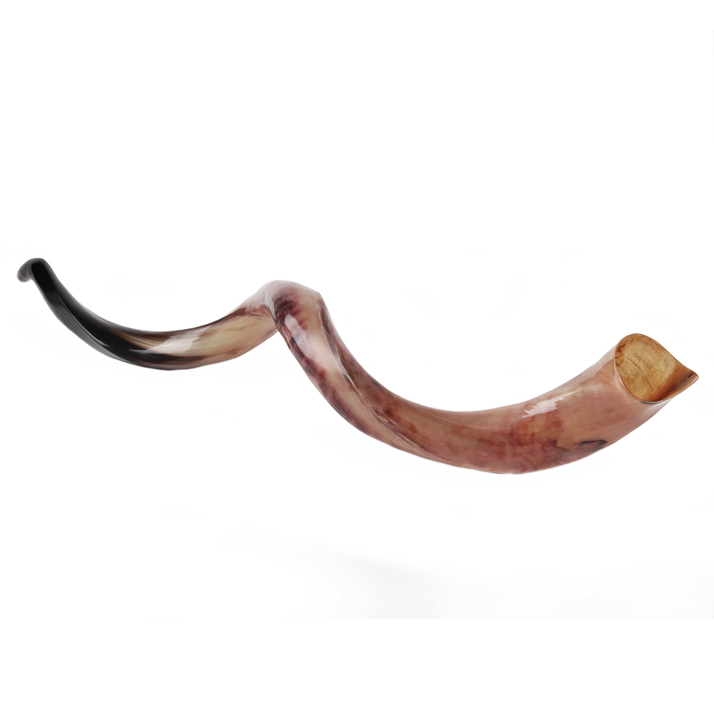 Kudu Shofar Polish (WS)