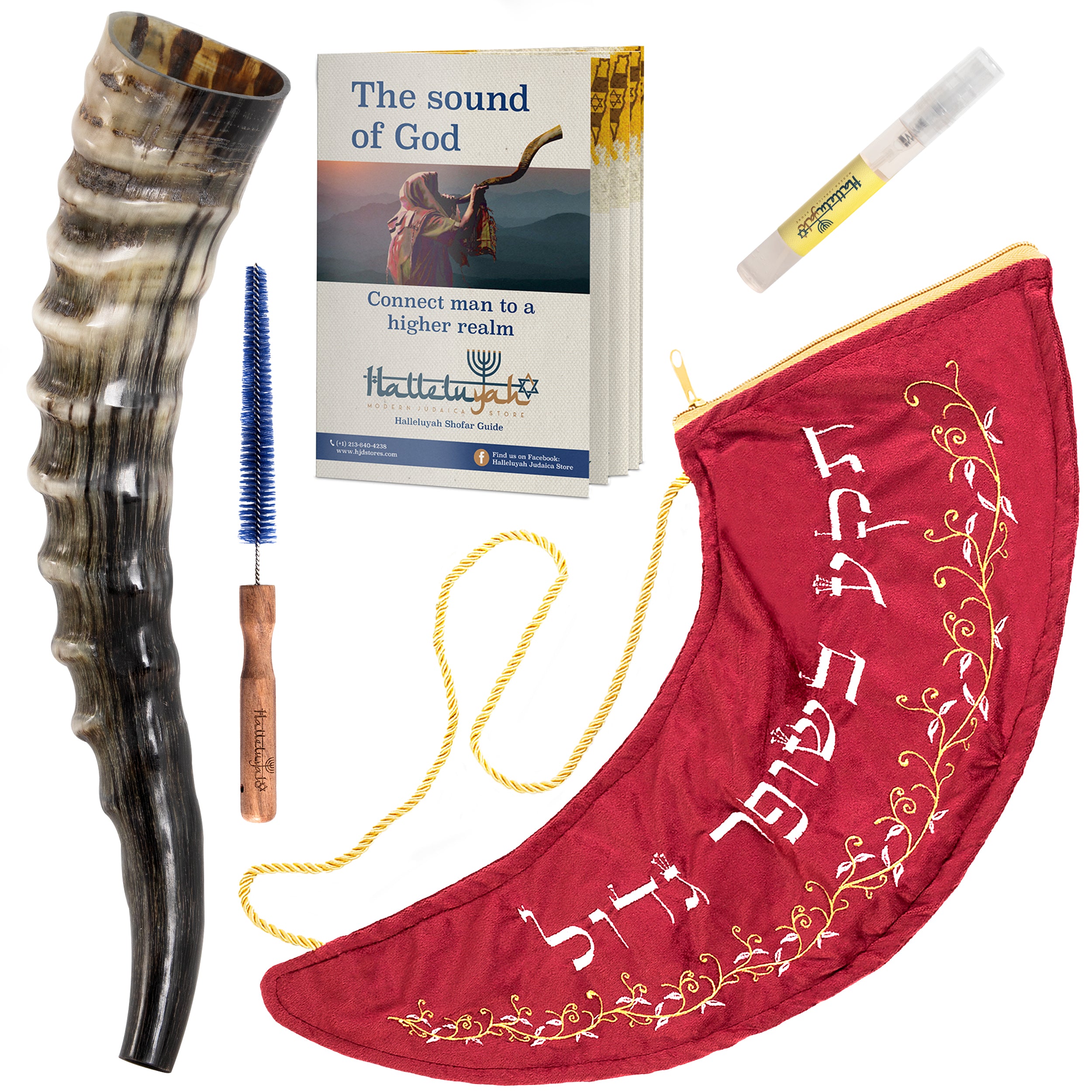 Blesbuck Shofar Horn (WS)
