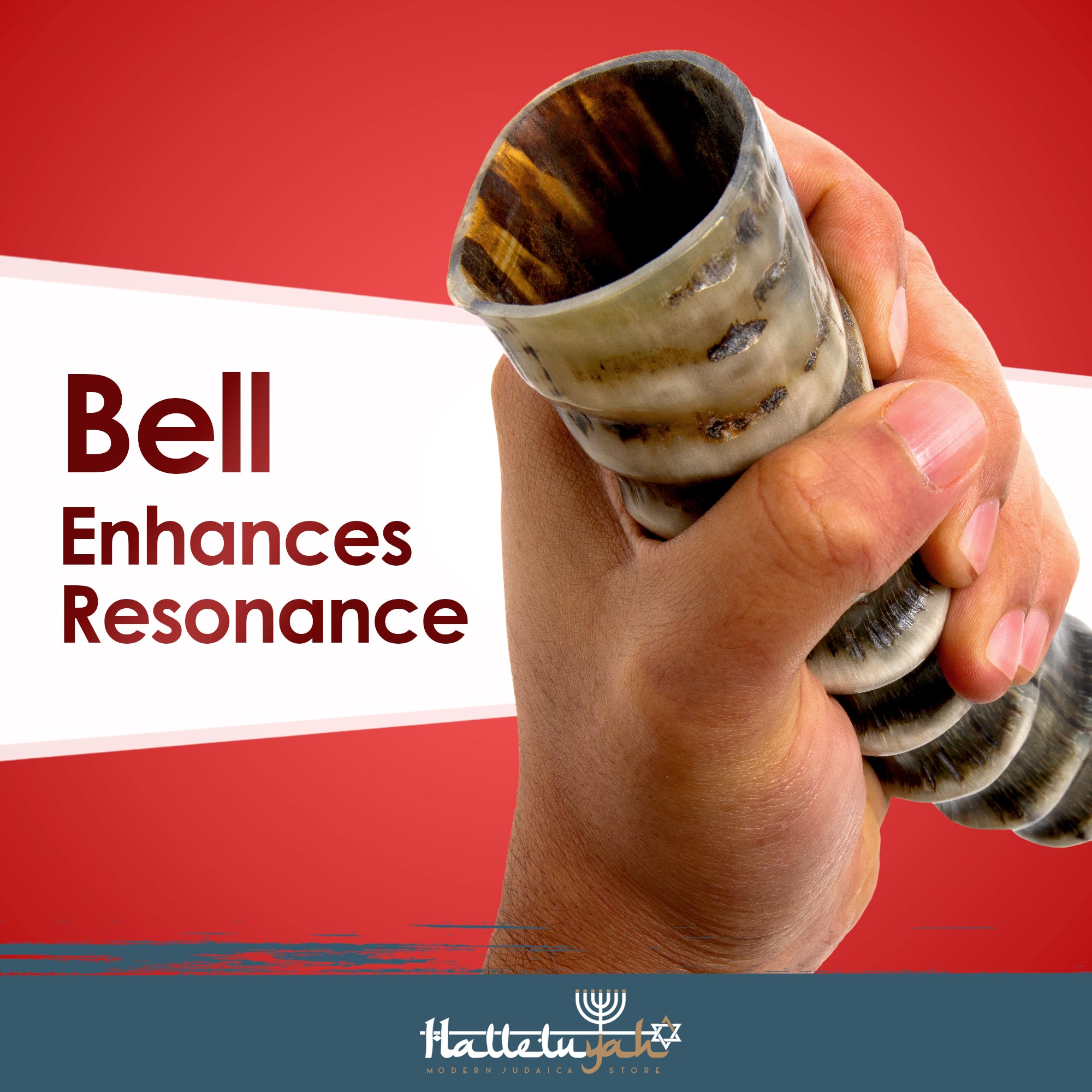 Blesbuck Shofar Horn (WS)