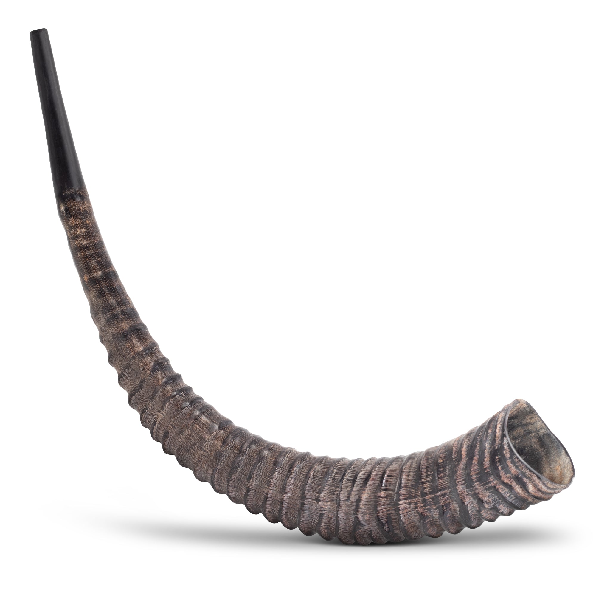 HalleluYAH Sable Shofar Horn (WS)