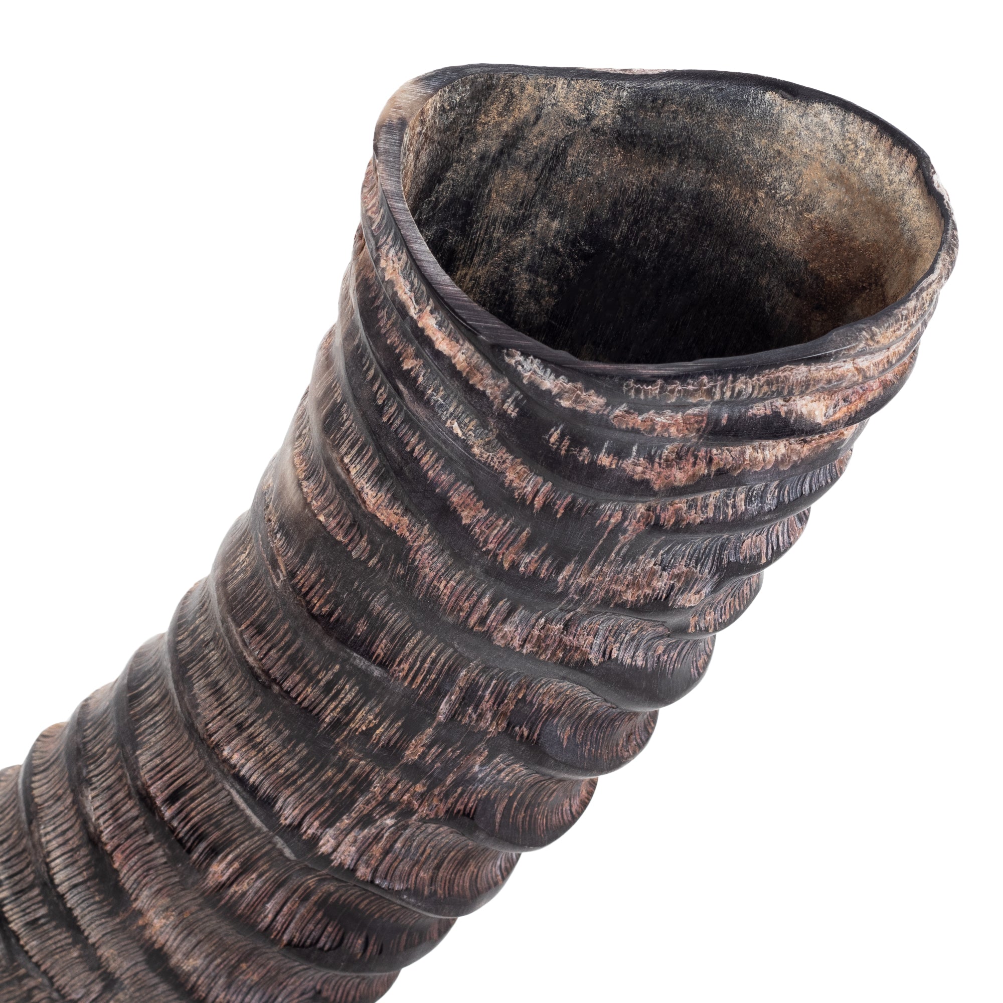 HalleluYAH Sable Shofar Horn (WS)